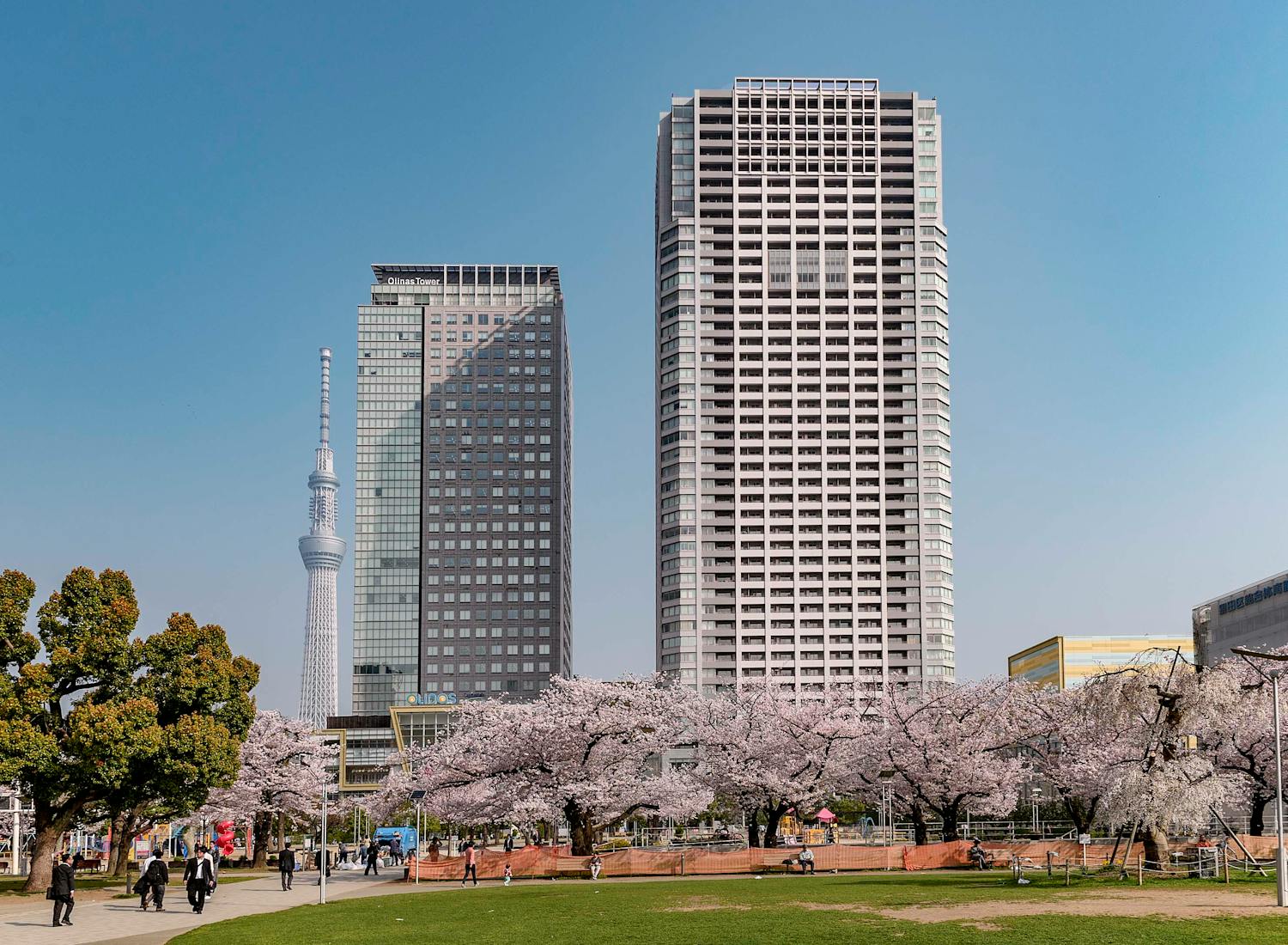 不動産投資エリア解説 墨田区で不動産投資を検討するならどのエリア?