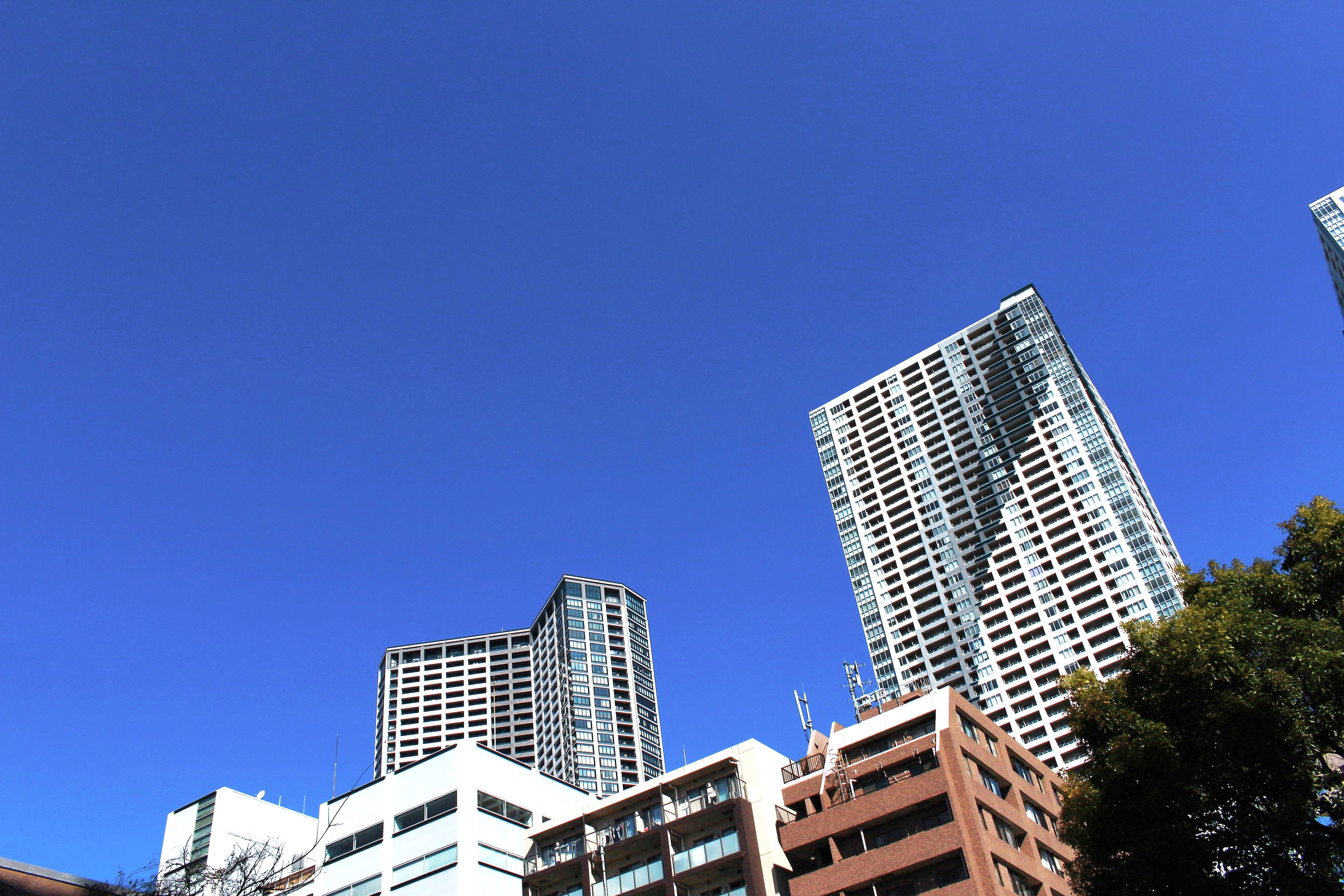不動産投資 購入事例　一度は見送った50代会社役員が、2件目で湾岸エリアの1LDKを選んだ理由【不動産投資 購入事例】